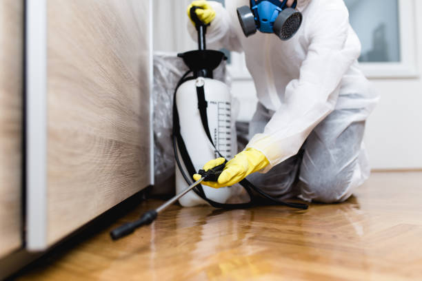 Flea Control Services in Woonsocket, RI