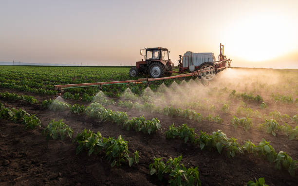 Best Mosquito Control Services  in Woonsocket, RI