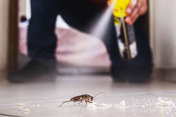 Trusted Woonsocket, RI Pest Control Experts