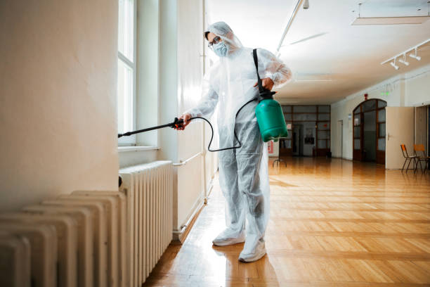 Best Best Pest Control Companies  in Woonsocket, RI