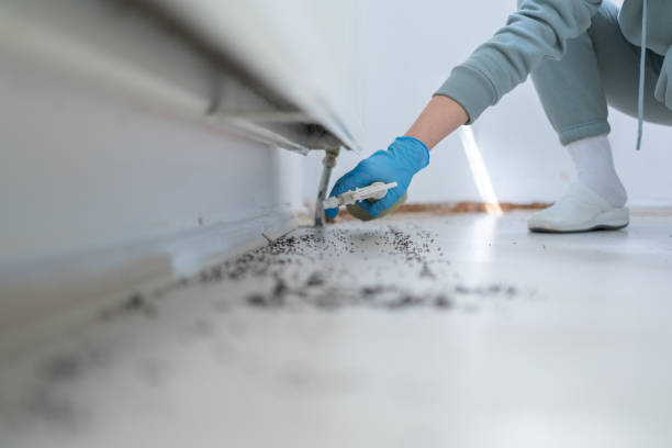 Best Pest Control for Restaurants  in Woonsocket, RI